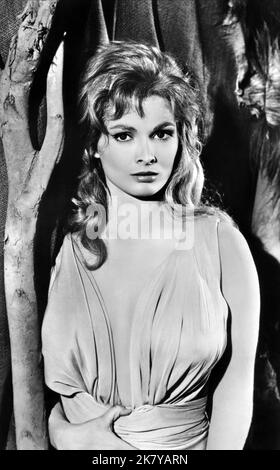 Scilla Gabel, 1962 Stockfotografie - Alamy