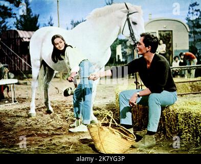 Nancy Kwan & Pat Boone Film: Die Hauptattraktion (1966) Charaktere: Tessa & Eddie Regie: Daniel Petrie 01 November 1962 **WARNUNG** Dieses Foto ist nur für redaktionelle Verwendung bestimmt und unterliegt dem Copyright von SEVEN ARTS und/oder des Fotografen, der von der Film- oder Produktionsfirma beauftragt wurde und darf nur von Publikationen im Zusammenhang mit der Bewerbung des oben genannten Films reproduziert werden. Eine obligatorische Gutschrift für SEVEN ARTS ist erforderlich. Der Fotograf sollte auch bei Bekanntwerden des Fotos gutgeschrieben werden. Ohne schriftliche Genehmigung der Film Company kann keine kommerzielle Nutzung gewährt werden. Stockfoto