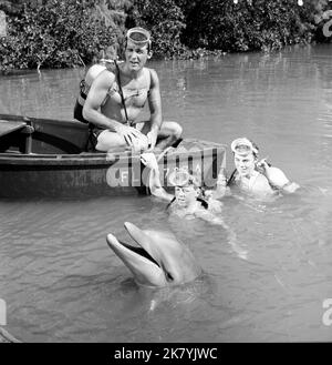 Brian Kelly, Flipper, Tommy Norden & Luke Halpin Television: Flipper (TV-Serie) USA 1964–1967, 19. September 1964 **ACHTUNG** Dieses Foto ist nur für redaktionelle Verwendung bestimmt und unterliegt dem Copyright von MGM und/oder dem von der Film- oder Produktionsfirma beauftragten Fotografen und kann nur durch Publikationen im Zusammenhang mit der Bewerbung des oben genannten Films reproduziert werden. Eine obligatorische Gutschrift an MGM ist erforderlich. Der Fotograf sollte auch bei Bekanntwerden des Fotos gutgeschrieben werden. Ohne schriftliche Genehmigung der Film Company kann keine kommerzielle Nutzung gewährt werden. Stockfoto