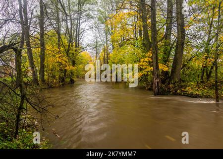 Ticha Orlice Fluss in der Tschechischen Republik Stockfoto