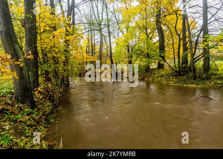 Ticha Orlice Fluss in der Tschechischen Republik Stockfoto