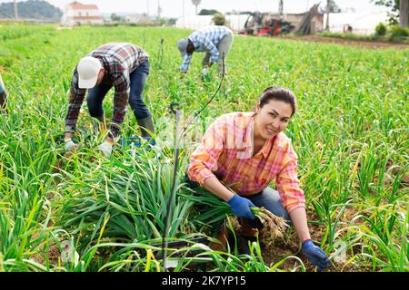 Porträt einer Farmerin beim Pflücken von Frühlingsknoblauchzehen Stockfoto