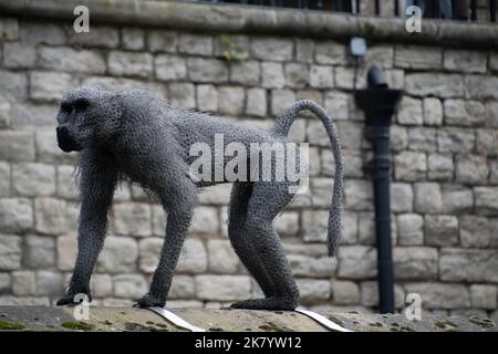 Pavian-Skulptur, Teil einer Ausstellung im Tower of London, zeigt Tiere, die einst im Palast untergebracht waren, bevor die Sammlung nach Re zog Stockfoto