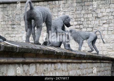 Trio von Baboon-Skulpturen, Teil einer Ausstellung im Tower of London, zeigt Tiere, die vor der Sammlung Mo im Palast untergebracht waren Stockfoto