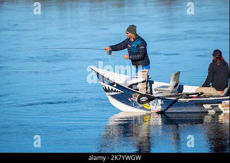 Fliegen Sie Fischer mit dem Boot auf dem Bow River, Carburn Park, Calgary, Alberta, Kanada Stockfoto