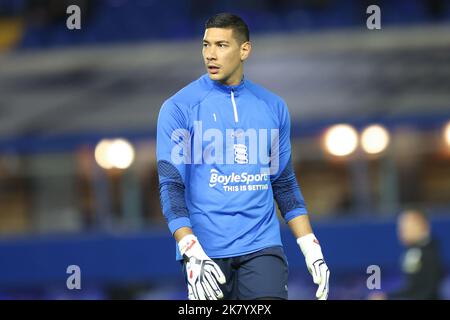 Birmingham, Großbritannien. 19. Oktober 2022. Neil Etheridge #1 von Birmingham City während des Sky Bet Championship-Spiels Birmingham City gegen Burnley in St Andrews, Birmingham, Großbritannien, 19.. Oktober 2022 (Foto von Simon Bissett/News Images) in Birmingham, Großbritannien am 10/19/2022. (Foto von Simon Bissett/News Images/Sipa USA) Quelle: SIPA USA/Alamy Live News Stockfoto