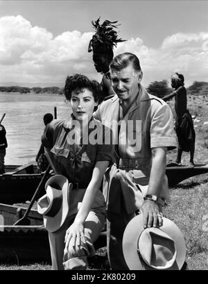 AVA Gardner & Clark Gable Film: Mogambo (USA 1943) Charaktere: Honey Bear Kelly, Victor Marswell Regie: John Ford 23 September 1953 **WARNUNG** Dieses Foto ist nur für redaktionelle Zwecke bestimmt und unterliegt dem Copyright von MGM und/oder dem von der Film- oder Produktionsfirma beauftragten Fotografen und kann nur durch Publikationen im Zusammenhang mit der Bewerbung des oben genannten Films reproduziert werden. Eine obligatorische Gutschrift an MGM ist erforderlich. Der Fotograf sollte auch bei Bekanntwerden des Fotos gutgeschrieben werden. Ohne schriftliche Genehmigung der Film Company kann keine kommerzielle Nutzung gewährt werden. Stockfoto