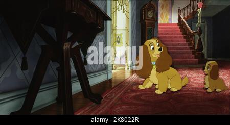 Lady & Tramp Film: Lady and the Tramp (USA 1955) Regie: Clyde Geronimi, Wilfred Jackson, Hamilton Luske, Regie: C Geronimi, W Jackson, H Luske 16 June 1955 **WARNUNG** Dieses Foto ist nur für redaktionelle Zwecke bestimmt und unterliegt dem Copyright von DISNEY und/oder dem Fotografen, der von der Film- oder Produktionsfirma beauftragt wurde, und kann nur von Publikationen im Zusammenhang mit der Bewerbung des oben genannten Films reproduziert werden. Eine obligatorische Gutschrift an DISNEY ist erforderlich. Der Fotograf sollte auch bei Bekanntwerden des Fotos gutgeschrieben werden. Ohne schriftliche Genehmigung der Film Company kann keine kommerzielle Nutzung gewährt werden. Stockfoto