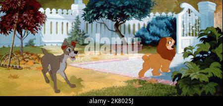 Tramp & Lady Film: Lady and the Tramp (USA 1955) Regie: Clyde Geronimi, Wilfred Jackson, Hamilton Luske, Regie: C Geronimi, W Jackson, H Luske 16 June 1955 **WARNUNG** Dieses Foto ist nur für redaktionelle Zwecke bestimmt und unterliegt dem Copyright von DISNEY und/oder dem Fotografen, der von der Film- oder Produktionsfirma beauftragt wurde, und kann nur von Publikationen im Zusammenhang mit der Bewerbung des oben genannten Films reproduziert werden. Eine obligatorische Gutschrift an DISNEY ist erforderlich. Der Fotograf sollte auch bei Bekanntwerden des Fotos gutgeschrieben werden. Ohne schriftliche Genehmigung der Film Company kann keine kommerzielle Nutzung gewährt werden. Stockfoto