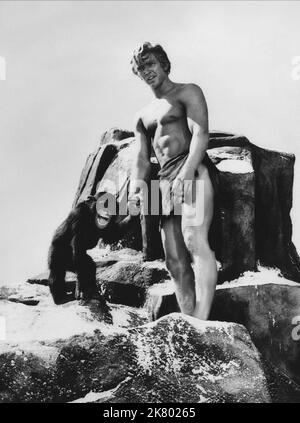 Denny Miller Film: Tarzan, der Ape-Mann (USA 1959) Charaktere: Tarzan Regie: Joseph M. Newman 01 October 1959 **WARNUNG** Dieses Foto ist nur für redaktionelle Verwendung bestimmt und unterliegt dem Copyright von MGM und/oder dem von der Film- oder Produktionsfirma beauftragten Fotografen und kann nur durch Publikationen im Zusammenhang mit der Bewerbung des oben genannten Films reproduziert werden. Eine obligatorische Gutschrift an MGM ist erforderlich. Der Fotograf sollte auch bei Bekanntwerden des Fotos gutgeschrieben werden. Ohne schriftliche Genehmigung der Film Company kann keine kommerzielle Nutzung gewährt werden. Stockfoto