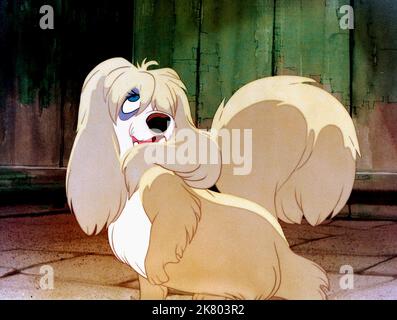 PEG Film: Lady and the Tramp (USA 1955) Regie: Clyde Geronimi, Wilfred Jackson, Hamilton Luske, Regie: C Geronimi, W Jackson, H Luske 16 June 1955 **WARNUNG** Dieses Foto ist nur für redaktionelle Zwecke bestimmt und unterliegt dem Copyright von DISNEY und/oder dem Fotografen, der von der Film- oder Produktionsfirma beauftragt wurde, und kann nur von Publikationen im Zusammenhang mit der Bewerbung des oben genannten Films reproduziert werden. Eine obligatorische Gutschrift an DISNEY ist erforderlich. Der Fotograf sollte auch bei Bekanntwerden des Fotos gutgeschrieben werden. Ohne schriftliche Genehmigung der Film Company kann keine kommerzielle Nutzung gewährt werden. Stockfoto