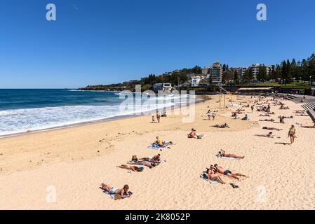 Sonnenbaden am Coogee Beach an einem warmen Frühlingstag Stockfoto