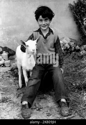 Jonathan Ashmore & Goat Film: Ein Kind für zwei Farthings (1959) Charaktere: Joe & Regie: Carol Reed 10 May 1955 **WARNUNG** Dieses Foto ist nur für redaktionelle Zwecke bestimmt und unterliegt dem Copyright von LONDON FILM und/oder dem von der Film oder Production Company beauftragten Fotografen und kann nur von Publikationen im Zusammenhang mit der Bewerbung des oben genannten Films reproduziert werden. Eine obligatorische Gutschrift für LONDONER FILM ist erforderlich. Der Fotograf sollte auch bei Bekanntwerden des Fotos gutgeschrieben werden. Ohne schriftliche Genehmigung der Film Company kann keine kommerzielle Nutzung gewährt werden. Stockfoto