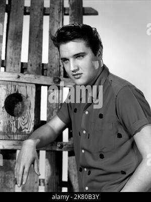 Elvis Presley Film: King Creole (USA 1958) Charaktere: Danny Fisher Regie: Michael Curtiz 02 July 1958 **WARNUNG** Dieses Foto ist nur für redaktionelle Zwecke bestimmt und unterliegt dem Copyright von PARAMOUNT und/oder des Fotografen, der von der Film- oder Produktionsfirma beauftragt wurde und darf nur von Publikationen im Zusammenhang mit der Bewerbung des oben genannten Films reproduziert werden. Eine obligatorische Gutschrift an PARAMOUNT ist erforderlich. Der Fotograf sollte auch bei Bekanntwerden des Fotos gutgeschrieben werden. Ohne schriftliche Genehmigung der Film Company kann keine kommerzielle Nutzung gewährt werden. Stockfoto