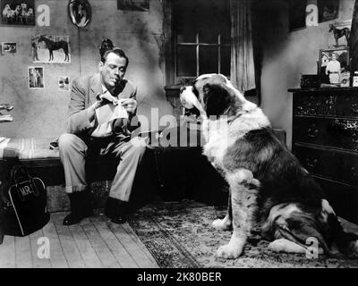 Tom Ewell & Dog Film: A Nice Little Bank that should be beraubt (1958) Charaktere: Max Rutgers Regie: Henry Levin 01 December 1958 **WARNUNG** Dieses Foto ist nur für den redaktionellen Gebrauch bestimmt und unterliegt dem Copyright von 20. CENTURY FOX und/oder des Fotografen, der von der Film- oder Produktionsfirma beauftragt wurde, und kann nur durch Publikationen im Zusammenhang mit der Bewerbung des oben genannten Films reproduziert werden. Eine obligatorische Gutschrift an 20. CENTURY FOX ist erforderlich. Der Fotograf sollte auch bei Bekanntwerden des Fotos gutgeschrieben werden. Ohne schriftliche Genehmigung der Film Company kann keine kommerzielle Nutzung gewährt werden. Stockfoto