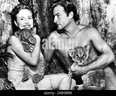 Virginia Huston & Lex Barker Film: Tarzan'S Peril (USA 1951) / Dt. Titel Auch: 'Tarzan Rettet Die Dschungelkönigin' Regie: Tarzan'S Peril 13 March 1951 **WARNUNG** Dieses Foto ist nur für den redaktionellen Gebrauch bestimmt und unterliegt dem Copyright von RKO und/oder des Fotografen, der von der Film- oder Produktionsfirma beauftragt wurde, und kann nur durch Publikationen im Zusammenhang mit der Bewerbung des oben genannten Films reproduziert werden. Eine obligatorische Gutschrift an RKO ist erforderlich. Der Fotograf sollte auch bei Bekanntwerden des Fotos gutgeschrieben werden. Ohne schriftliche Genehmigung der Film Company kann keine kommerzielle Nutzung gewährt werden. Stockfoto