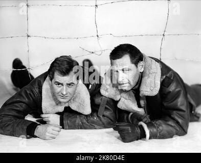 Don Taylor & William Holden Film: Stalag 17 (USA 1953) Charaktere: LT. James Dunbar, Sgt. J.J. Sefton Director: Billy Wilder 29 May 1953 **WARNUNG** Dieses Foto ist nur für den redaktionellen Gebrauch bestimmt und unterliegt dem Copyright von PARAMOUNT und/oder des Fotografen, der von der Film- oder Produktionsfirma beauftragt wurde.Es kann nur von Publikationen im Zusammenhang mit der Bewerbung des oben genannten Films reproduziert werden. Eine obligatorische Gutschrift an PARAMOUNT ist erforderlich. Der Fotograf sollte auch bei Bekanntwerden des Fotos gutgeschrieben werden. Ohne schriftliche Genehmigung der Film Company kann keine kommerzielle Nutzung gewährt werden. Stockfoto