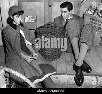 Millie Perkins & Richard Beymer Film: The Diary of Anne Frank (USA 1959) Charaktere: Anne Frank, Peter Van Daan Regie: George Stevens 18 March 1959 **WARNUNG** Dieses Foto ist nur für den redaktionellen Gebrauch bestimmt und unterliegt dem Copyright von 20. CENTURY FOX und/oder des Fotografen, der von der Film- oder Produktionsfirma beauftragt wurde, und kann nur durch Publikationen im Zusammenhang mit der Bewerbung des oben genannten Films reproduziert werden. Eine obligatorische Gutschrift an 20. CENTURY FOX ist erforderlich. Der Fotograf sollte auch bei Bekanntwerden des Fotos gutgeschrieben werden. Ohne schriftliche Genehmigung der Film Company kann keine kommerzielle Nutzung gewährt werden. Stockfoto