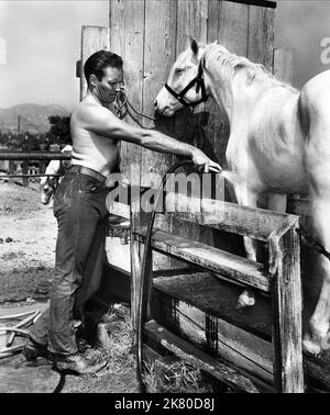 Charlton Heston Film: Pony Express (USA 1953) Charaktere: Captain William Frank 'Buffalo Bill' Cody Regie: Jerry Hopper 05 June 1953 **WARNUNG** Dieses Foto ist nur für redaktionelle Zwecke bestimmt und unterliegt dem Copyright von PARAMOUNT PICTURES und/oder des Fotografen, der von der Film- oder Produktionsgesellschaft beauftragt wurde und darf nur von Publikationen im Zusammenhang mit der Bewerbung des oben genannten Films reproduziert werden. Eine obligatorische Gutschrift für PARAMOUNT-BILDER ist erforderlich. Der Fotograf sollte auch bei Bekanntwerden des Fotos gutgeschrieben werden. Ohne schriftliche Genehmigung der Film Company kann keine kommerzielle Nutzung gewährt werden. Stockfoto