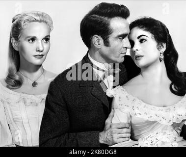 Eva Marie Saint, Montgomery Clift & Elizabeth Taylor Film: Raintree County (USA 1957) Charaktere: Nell Gaither, John Wickliff Shawnessy, Susanna Drake / Literaturverfilmung (nach dem Buch von Ross Lockridge Jr.) Regie: Edward Dmytryk 04 October 1957 **WARNUNG** Dieses Foto ist nur für den redaktionellen Gebrauch bestimmt und unterliegt dem Copyright von MGM und/oder dem Fotografen, der von der Film- oder Produktionsfirma beauftragt wurde.Es kann nur durch Publikationen im Zusammenhang mit der Bewerbung des oben genannten Films reproduziert werden. Eine obligatorische Gutschrift an MGM ist erforderlich. Der Fotograf sollte auch bei Bekanntwerden des Fotos gutgeschrieben werden. Nein c Stockfoto