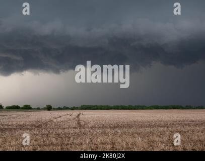 Schwere, graue Sturmwolken, die über einem Stoppelfeld mit geschnittenen, getrockneten Kornhalmen hängen. Fotografiert in Oklahoma. Das Bild verfügt über Kopierspeicher. Stockfoto