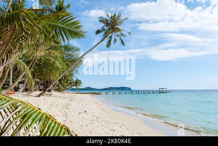 Tief hängende Palme mit Schaukel auf der tropischen Insel Koh Kood in der Provinz trat Ost-Thailand Stockfoto