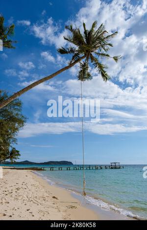 Tief hängende Palme mit Schaukel auf der tropischen Insel Koh Kood in der Provinz trat Ost-Thailand Stockfoto