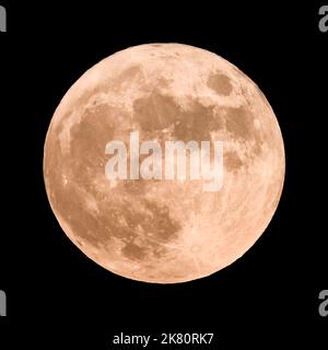Der Hunter's Moon, der im Oktober oder November erscheinen kann, ist der Vollmond, der dem Harvest Moon folgt. Stockfoto