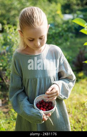 Kleines Mädchen pflücken frische Kirsche im Garten Stockfoto