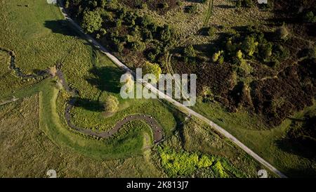 Drohne fährt über den Rebild bakker Nationalpark in dänemark Stockfoto