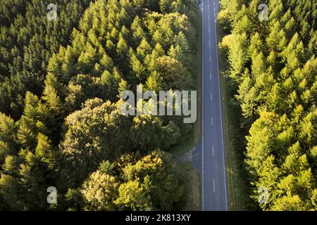 Drohne fährt über den Rebild bakker Nationalpark in dänemark Stockfoto