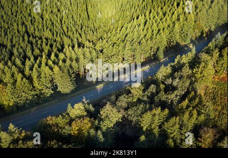 Drohne fährt über den Rebild bakker Nationalpark in dänemark Stockfoto