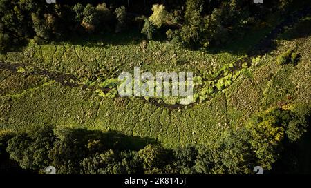 Drohne fährt über den Rebild bakker Nationalpark in dänemark Stockfoto