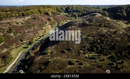 Drohne fährt über den Rebild bakker Nationalpark in dänemark Stockfoto