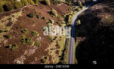 Drohne fährt über den Rebild bakker Nationalpark in dänemark Stockfoto