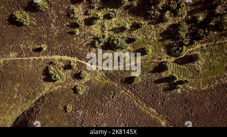 Drohne fährt über den Rebild bakker Nationalpark in dänemark Stockfoto