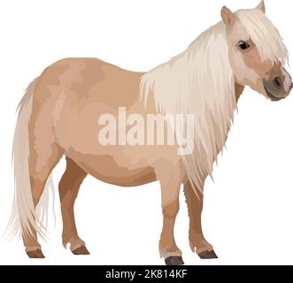 Shetland realistischer Pony, Vollblut-Pferdevektor Illustration Stock Vektor