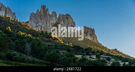 Landschaft der Dentelle de montmirail , kleine Berge in der provence Frankreich , aufgenommen in Beaume de Venise , vaucluse , Frankreich Stockfoto