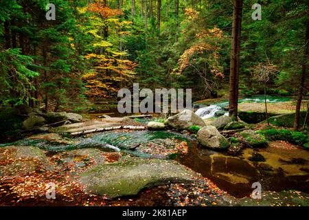 Naturlandschaft. Schöner Herbst Berg wilden Wald Fluss mit Moos bedeckt Steine. Herbstlandschaft im Wald. Landschaft der Natur Stockfoto