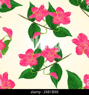 Nahtlose Textur rosa Blume dekorativen Strauch Weigela Risse vintage Vektor Illustration Stock Vektor