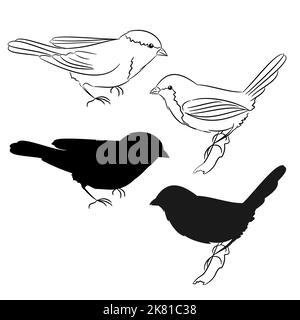 Die Umrisse und die Silhouette der Vögel Satz von vier Vektor-Illustration Stock Vektor