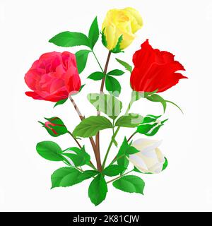 Strauß Rosenknospen rot weiß und gelb Rosen festlichen Hintergrund Vektor-Illustration Stock Vektor