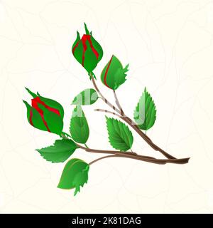 Buds lila Rose Risse in der Porzellan nahtlose Textur vintage Vektor Illustration Stock Vektor