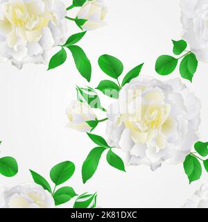 Nahtlose Textur weiße Rose mit Knospen und Blätter vintage festliche Hintergrund Vektor-Illustration Stock Vektor