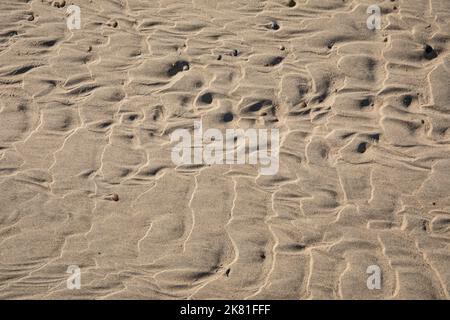 Niederlande, am Strand in Domburg auf der Halbinsel Walcheren, Muster im Sand. Niederlande, am Strand von Domburg auf Walcheren, Muster im Sand Stockfoto