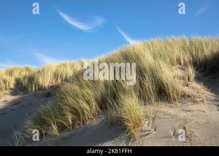 Niederlande, Zeeland, Zirruswolken über Dünen mit Sandstreifen am Strand in Oostkapelle auf der Halbinsel Walcheren. Niederlande, Zeeland, Cirruswo Stockfoto