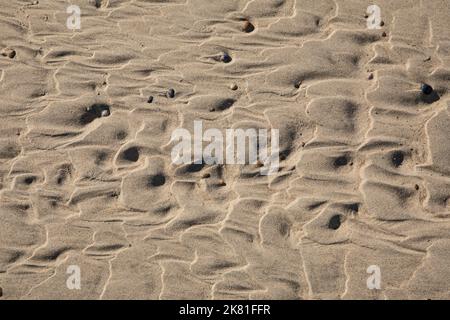 Niederlande, am Strand in Domburg auf der Halbinsel Walcheren, Muster im Sand. Niederlande, am Strand von Domburg auf Walcheren, Muster im Sand Stockfoto