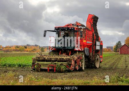 Landwirt im Feld, der Zuckerrüben mit Holmer Terra Dos T3 6-reihiger Rübenerntemaschine erntet. Salo, Finnland. 13. Oktober 2022. Stockfoto