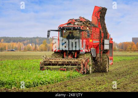 Landwirt im Feld, der Zuckerrüben mit Holmer Terra Dos T3 6-reihiger Rübenerntemaschine an einem Oktobertag erntet. Salo, Finnland. 13. Oktober 2022. Stockfoto