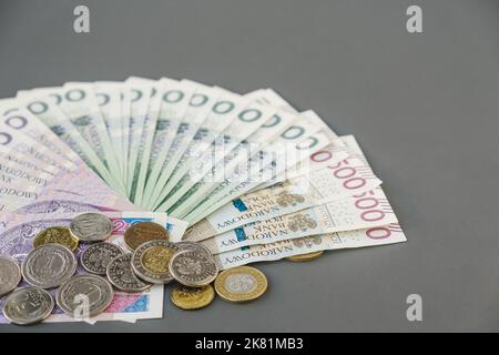 Polnisches Geld. Polnische Banknoten und Münzen PLN. Finanzkonzept. Nahaufnahme verschiedener Geldmittel. Speicherplatz kopieren. Stockfoto